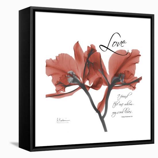 Love Orchid-Albert Koetsier-Framed Stretched Canvas