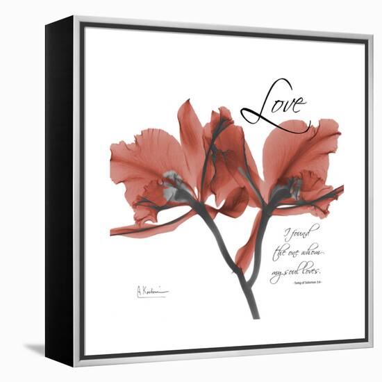 Love Orchid-Albert Koetsier-Framed Stretched Canvas