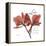 Love Orchid-Albert Koetsier-Framed Stretched Canvas