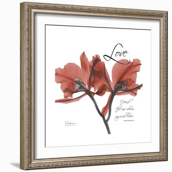 Love Orchid-Albert Koetsier-Framed Premium Giclee Print