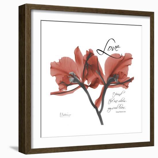 Love Orchid-Albert Koetsier-Framed Premium Giclee Print