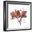 Love Orchid-Albert Koetsier-Framed Premium Giclee Print