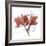 Love Orchid-Albert Koetsier-Framed Premium Giclee Print