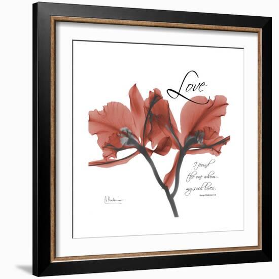 Love Orchid-Albert Koetsier-Framed Premium Giclee Print