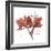 Love Orchid-Albert Koetsier-Framed Premium Giclee Print