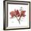 Love Orchid-Albert Koetsier-Framed Premium Giclee Print