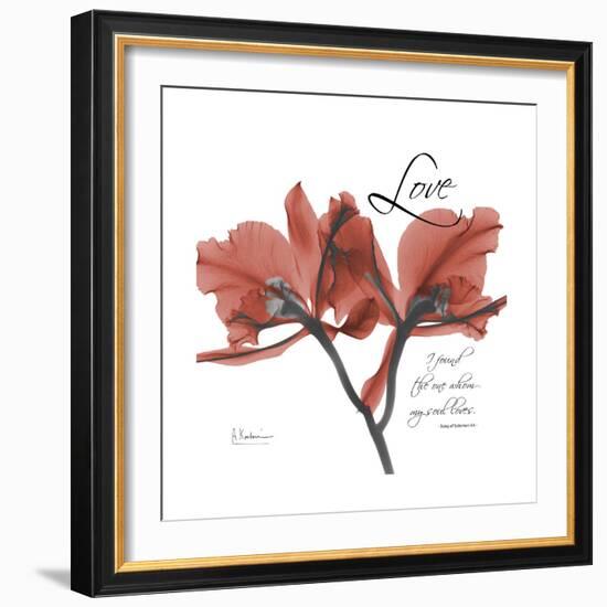 Love Orchid-Albert Koetsier-Framed Premium Giclee Print