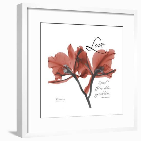Love Orchid-Albert Koetsier-Framed Premium Giclee Print