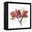 Love Orchid-Albert Koetsier-Framed Stretched Canvas