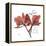 Love Orchid-Albert Koetsier-Framed Stretched Canvas