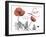 Love Poppies-Albert Koetsier-Framed Photographic Print