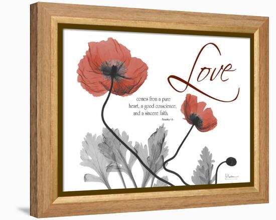 Love Poppies-Albert Koetsier-Framed Premier Image Canvas