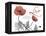 Love Poppies-Albert Koetsier-Framed Premier Image Canvas