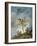 Love Reaching for a Dove-Jean-Honoré Fragonard-Framed Giclee Print