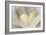 Love Reading II-Kathy Mahan-Framed Photographic Print