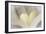 Love Reading II-Kathy Mahan-Framed Photographic Print