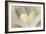 Love Reading II-Kathy Mahan-Framed Photographic Print