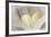 Love Reading II-Kathy Mahan-Framed Photographic Print