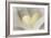 Love Reading II-Kathy Mahan-Framed Photographic Print