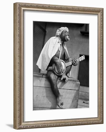 Love Song-null-Framed Giclee Print