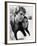 Love Story, 1970-null-Framed Photographic Print