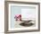 Love Story Love Birds-Susannah Tucker-Framed Art Print