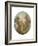 Love the Sentinel, c.1773-76-Jean-Honore Fragonard-Framed Giclee Print