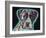 Love Thy Boxer-Dean Russo-Framed Giclee Print