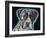 Love Thy Boxer-Dean Russo-Framed Giclee Print