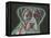 Love Thy Boxer-Dean Russo-Framed Premier Image Canvas