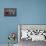 Love Tv-Yury Zap-Premium Giclee Print displayed on a wall