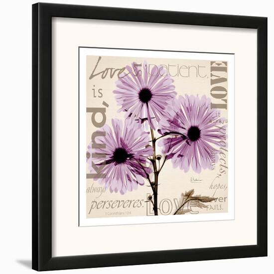 Love, Violet Chrysanthemum-Albert Koetsier-Framed Art Print