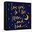 Love You to the Moon and Back Blue-Sd Graphics Studio-Framed Stretched Canvas