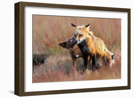 Love You-Jun Zuo-Framed Giclee Print