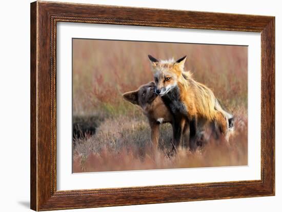 Love You-Jun Zuo-Framed Giclee Print