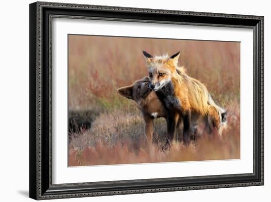 Love You-Jun Zuo-Framed Giclee Print