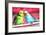 Lovebirds  2011  (oil on canvas)-Sarah Graham-Framed Giclee Print