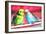 Lovebirds  2011  (oil on canvas)-Sarah Graham-Framed Giclee Print