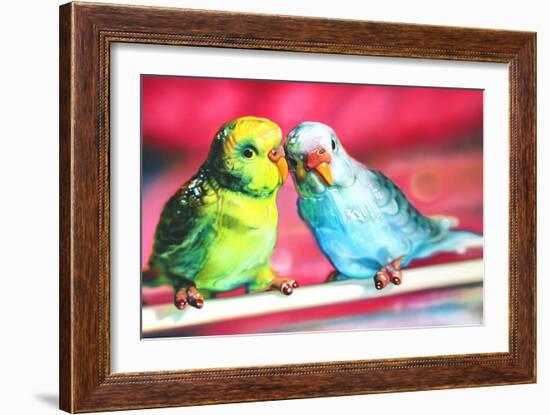 Lovebirds  2011  (oil on canvas)-Sarah Graham-Framed Giclee Print