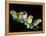 Lovebirds X Five on Branch-null-Framed Premier Image Canvas
