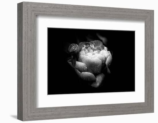 Loved By You-Philippe Sainte-Laudy-Framed Photographic Print