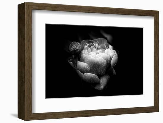 Loved By You-Philippe Sainte-Laudy-Framed Photographic Print