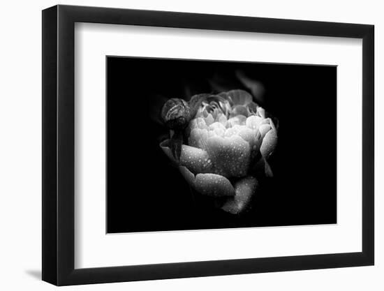 Loved By You-Philippe Sainte-Laudy-Framed Photographic Print