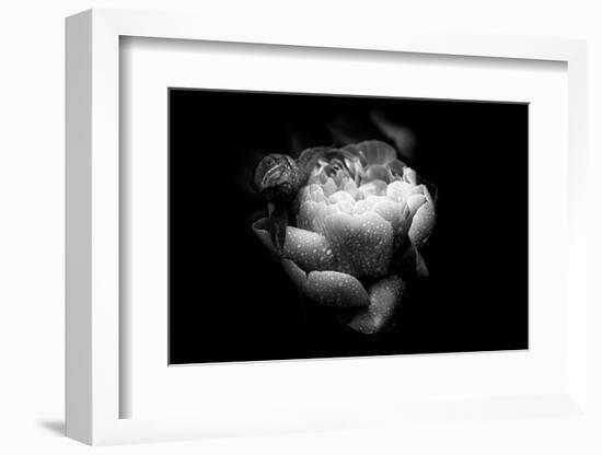 Loved By You-Philippe Sainte-Laudy-Framed Photographic Print