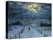 Stretched Canvas Print