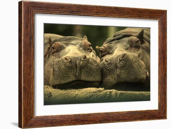 Lovely Affair-Andre Villeneuve-Framed Photographic Print