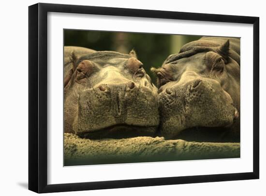 Lovely Affair-Andre Villeneuve-Framed Photographic Print