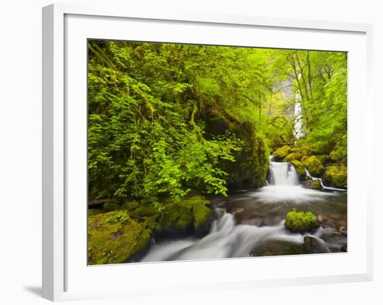 Lovely Elowah Falls on Mccord Creek in the Spring, in the Columbia Gorge, Oregon, USA-Gary Luhm-Framed Photographic Print