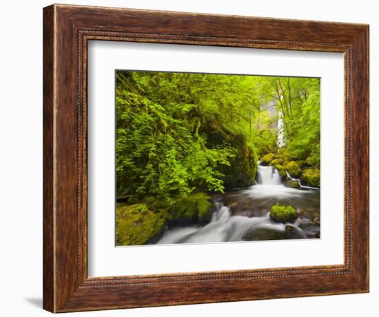 Lovely Elowah Falls on Mccord Creek in the Spring, in the Columbia Gorge, Oregon, USA-Gary Luhm-Framed Photographic Print