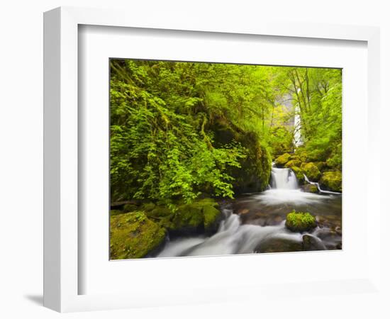 Lovely Elowah Falls on Mccord Creek in the Spring, in the Columbia Gorge, Oregon, USA-Gary Luhm-Framed Photographic Print